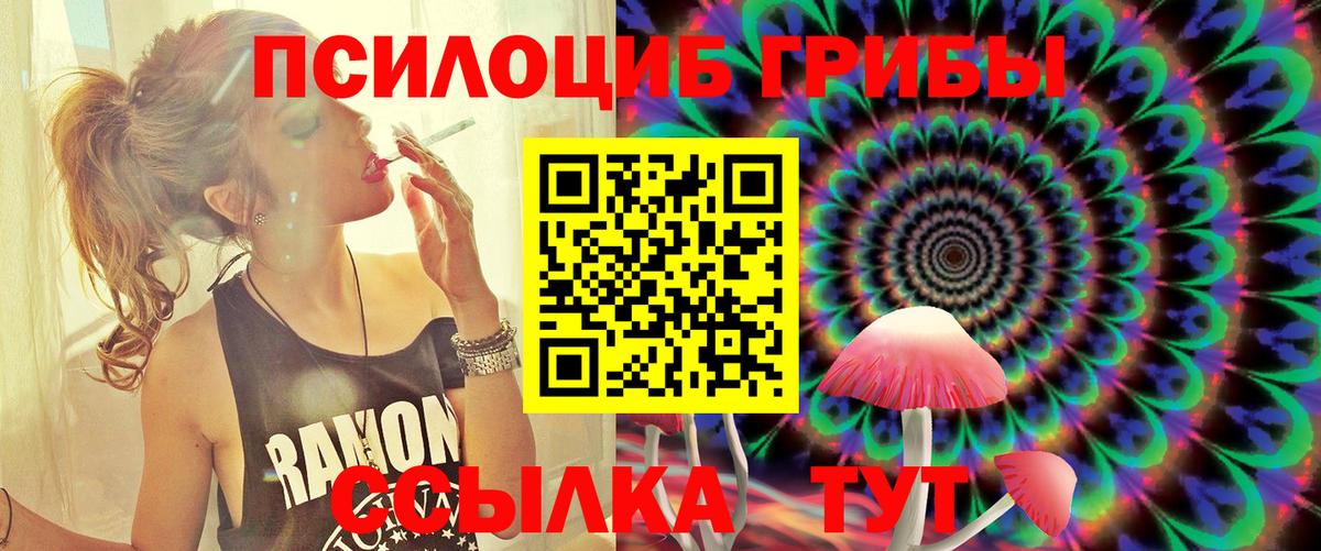 Бутурлиновка  Псилоцибиновые грибы GOLDEN TEACHER  Вход с VPN 